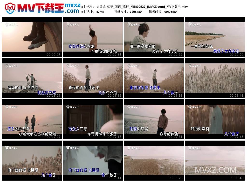 徐秉龙-双子_国语_流行_ME800522